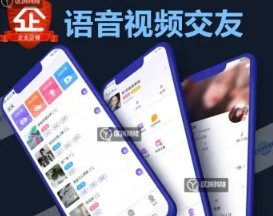 密聊付费语音视频交友APP源码系统自