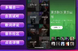 新款音乐APP音乐网站电台音乐播放器